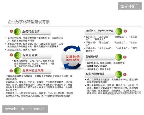 部分体育企业对数字化转型的理解仍停留在表面，缺乏顶层设计与系统性规划，导致资源投入与实际效果严重脱节